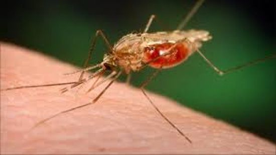 حملة تطعيم جديدة ضد الملاريا في كينيا وغانا ومالاوي