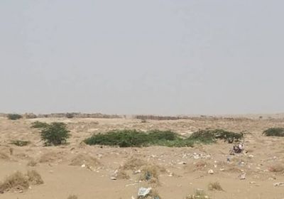 مليشيات الحوثي تقصف مواقع القوات المشتركة في الدريهمي 