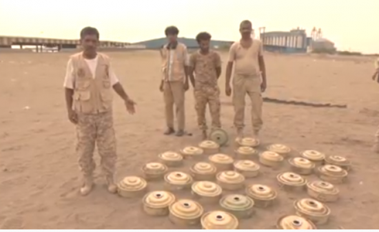 الفرق الهندسية للقوات المشتركة تنزع 30 لغماً أرضياً في الحديدة (فيديو)