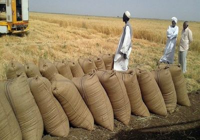 بحمولة 200 ألف طن.. الإمارات والسعودية تقدمان الدفعة الثالثة من القمح للسوادن