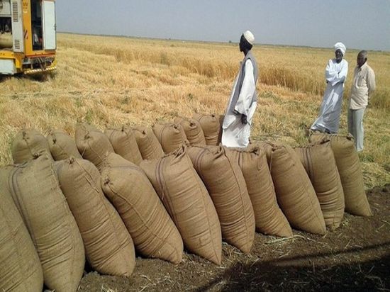 بحمولة 200 ألف طن.. الإمارات والسعودية تقدمان الدفعة الثالثة من القمح للسوادن