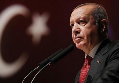 كاتب مصري عن أردوغان: إرهابي!