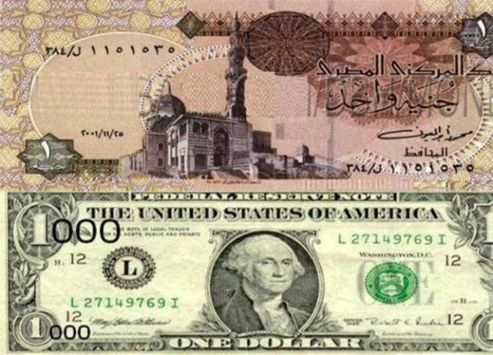 الدولار يواصل تراجعه في مصر