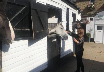 "صنعت أصدقاء جدد".. شاهد ريا أبي راشد بصحبة الخيول