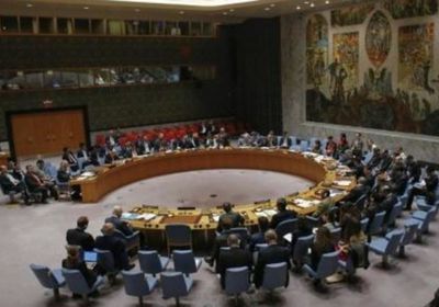 مجلس الأمن يفشل في التصويت على مشروع قرار لوقف النار في إدلب