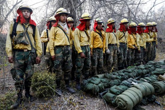 بالصور.. الجيش البوليفي ينشر رجال إطفاء لتفقد مناطق دمرتها الحرائق