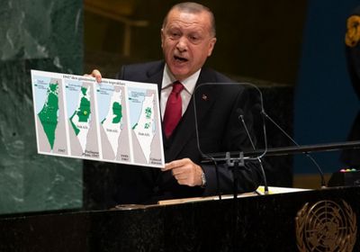 مدون سعودي بارز لـ أردوغان: قدمك لن تطأ بمصر!