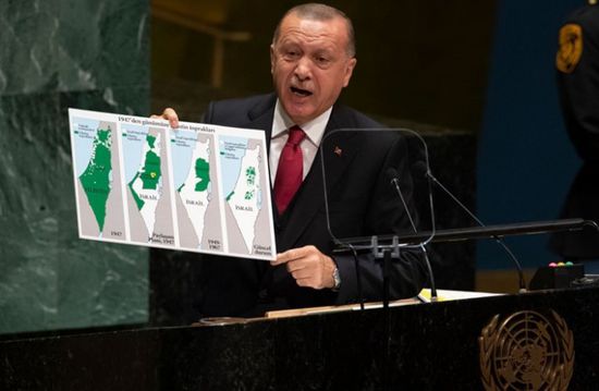 مدون سعودي بارز لـ أردوغان: قدمك لن تطأ بمصر!