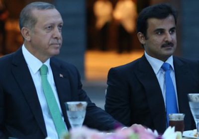 مسهور: شعب مصر أسقط أحلام أردوغان وتميم