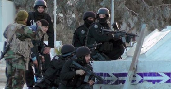 تونس وألمانيا تناقشان سبل تعزيز التعاون الشرطي