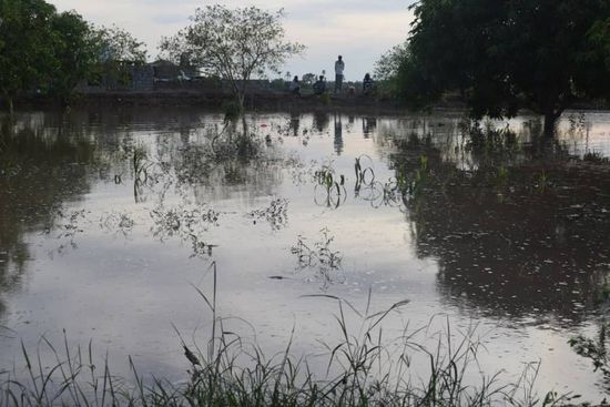 مياه الأمطار بلحج تنقذ 2000 فدان من الأراضي الزراعية في مديرية تبن (صور)