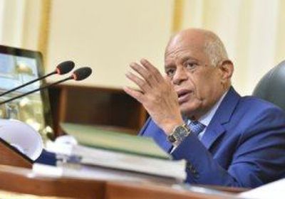 مجلس النواب المصري: ندعم القيادة السياسية فى إدارة ملف سد النهضة
