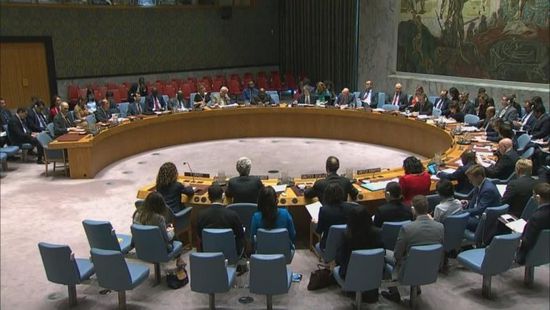 رئيس مجلس الأمن الدولي يطالب تركيا بحماية المدنيين في سوريا