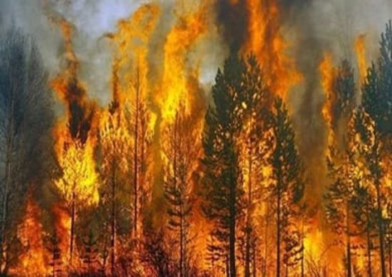 نشوب حرائق غابات مميتة جنوب كاليفورنيا وإخلاء إلزامي لآلآف السكان