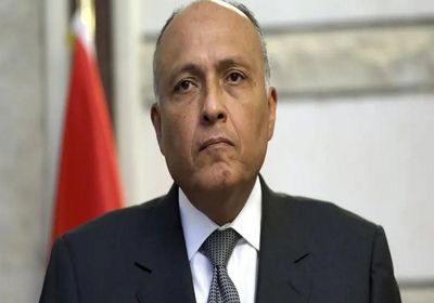 وزير الخارجية المصري: العملية العسكرية التركية في سوريا "احتلال"
