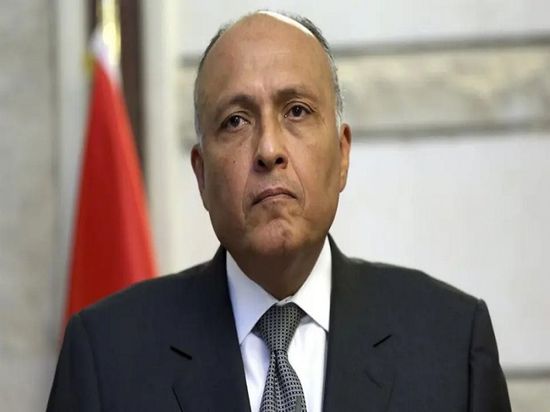 وزير الخارجية المصري: العملية العسكرية التركية في سوريا "احتلال"