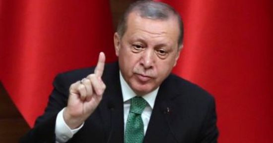 أردوغان: حظر بيع الأسلحة لتركيا لن يوقف عملياتنا في سوريا