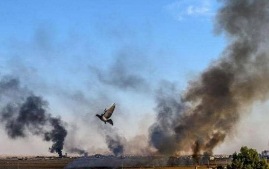 التشيك تعلن وقف تصدير الأسلحة إلى تركيا