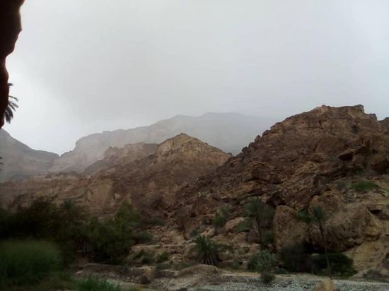 أمطار متوسطة إلى غزيرة تهطل على أجزاء من الشحر (صور) 