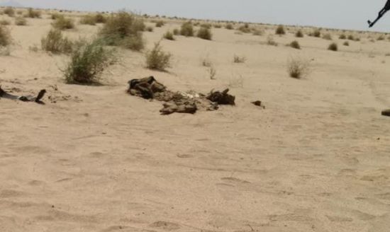 العثور على جثة مجهولة في صحراء لحج ..تفاصيل