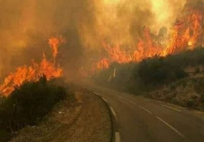 منظمة التعاون الإسلامي: متضامنون مع لبنان بعد اندلاع سلسلة من الحرائق