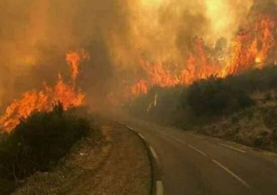 منظمة التعاون الإسلامي: متضامنون مع لبنان بعد اندلاع سلسلة من الحرائق