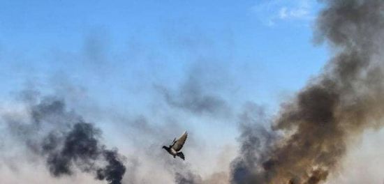 الأكراد يقبلون الاتفاق التركي الأمريكي بشأن العمليات العسكرية في سوريا 