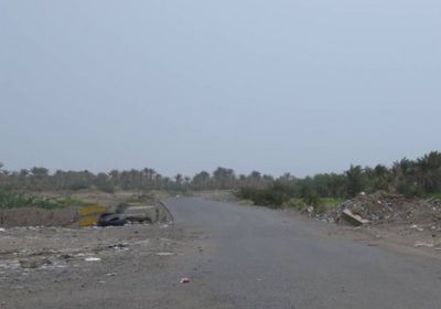 قصف حوثي عنيف على مواقع القوات المشتركة بالجبلية