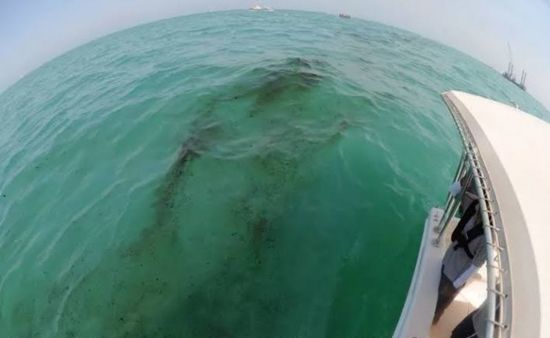 البرازيل تطالب فنزويلا بتقديم جواب بشأن انتشار بقعة نفطية 