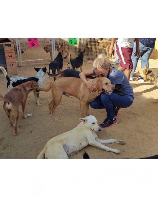 شيرين رضا تنشر صورها أثناء زيارة مؤسسة "حماية الحيوان"