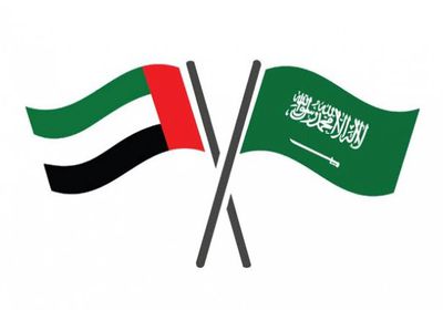 التليدي: التحالف السعودي الإماراتي صامد ومستمر وباقٍ