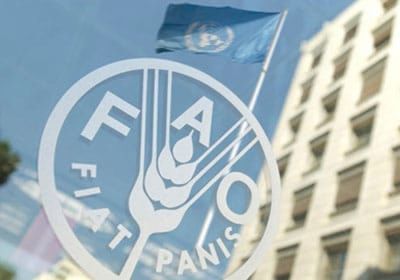 الفاو تنظم بالسعودية المنتدى الدولي للابتكار في النظم الزراعية والغذائية للتنمية المستدامة