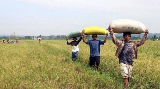 مصرع 19 مزارعا شمالي الفلبين بعد سقوط شاحنة محملة بأكياس الأرز