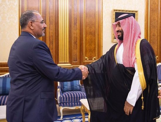 ولي العهد السعودي يبحث مع "الزُبيدي" آخر المستجدات في اليمن (صور)