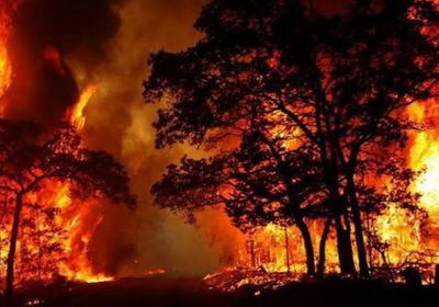 أستراليا.. مصرع شخص ودمار 100 منزل جراء حرائق الغابات