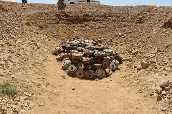 "مسام" ينتزع مئات الألغام الحوثية في الجوف