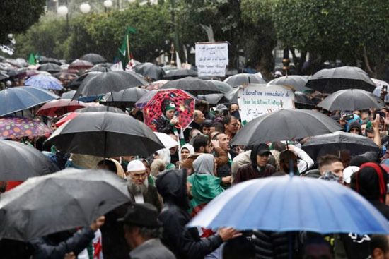 تجدد التظاهرات المطالبة بتأجيل الانتخابات الجزائرية