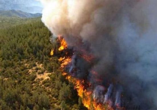استمرار حرائق الغابات على طول الساحل الشرقي لاستراليا