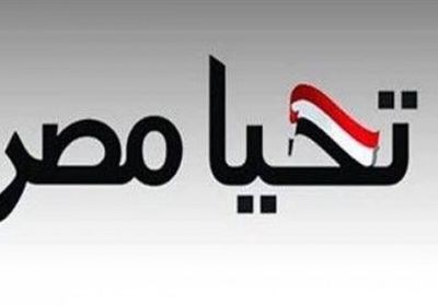 صندوق "تحيا مصر" يخصص 200 مليون جنيه لعلاج المبتسرين بالقرى