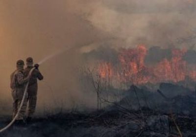 البرازيل: معدل إزالة الغابات في منطقة الأمازون وصلت إلى أعلى مستوياتها