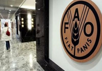 "تعزيز حوكمة الهجرة عبر التواصل الريفي الحضري".. ورشة عمل إقليمية للفاو