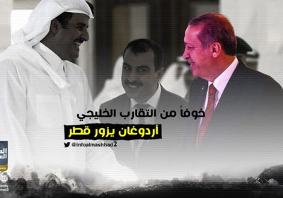 خوفا من التقارب الخليجي.. أردوغان يزور قطر