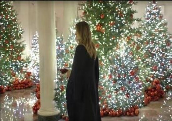 سيدة أمريكا الأولى تتسلم شجرة عيد الميلاد الرسمية للبيت الأبيض