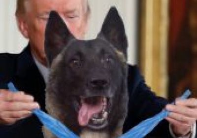 في سابقة من نوعها.. ترامب يستقبل كلبا بالبيت الأبيض لهذا السبب