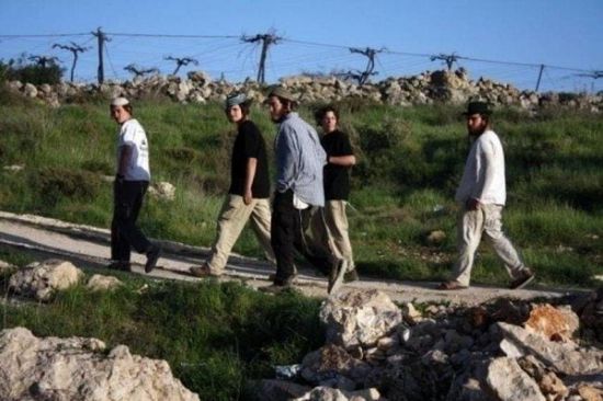 مستوطنون إسرائيليون يضرمون النار بأشجار زيتون فى سبسطية شمال غرب نابلس