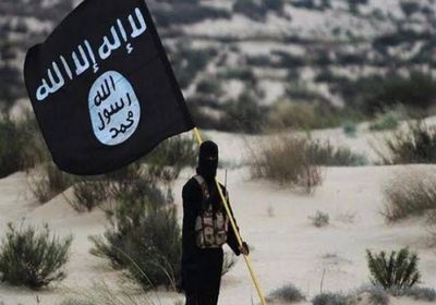 الدنمارك تعاقب داعشيين بإسقاط جنسيتها عنهما