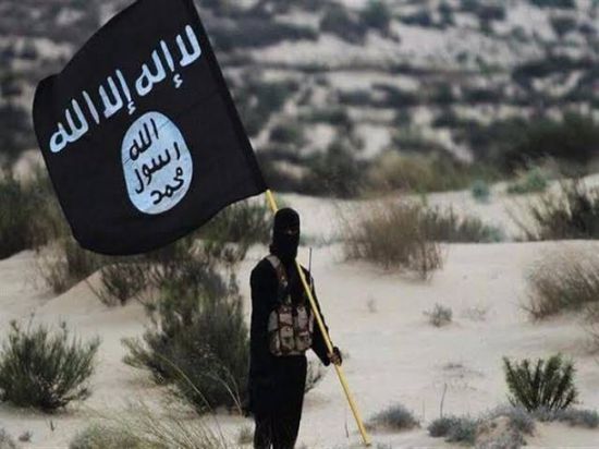 الدنمارك تعاقب داعشيين بإسقاط جنسيتها عنهما