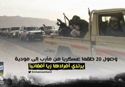 يرتدي أفرادها زيا أفغانيا.. وصول 20 طقما عسكريا من مأرب إلى مودية