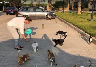 بعد فيديو "قطط الشوارع".. مدحت صالح ينال إشادات الجمهور