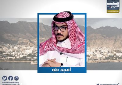 أمجد طه: اليمن يشهد على تضحيات شهداء الإمارات